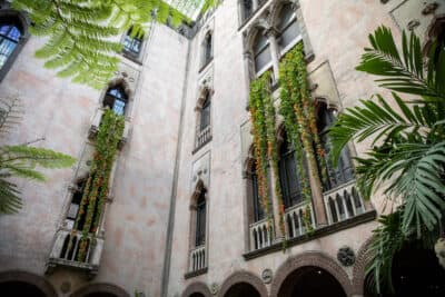 Photos: Nasturtiums return to the Gardner Museum