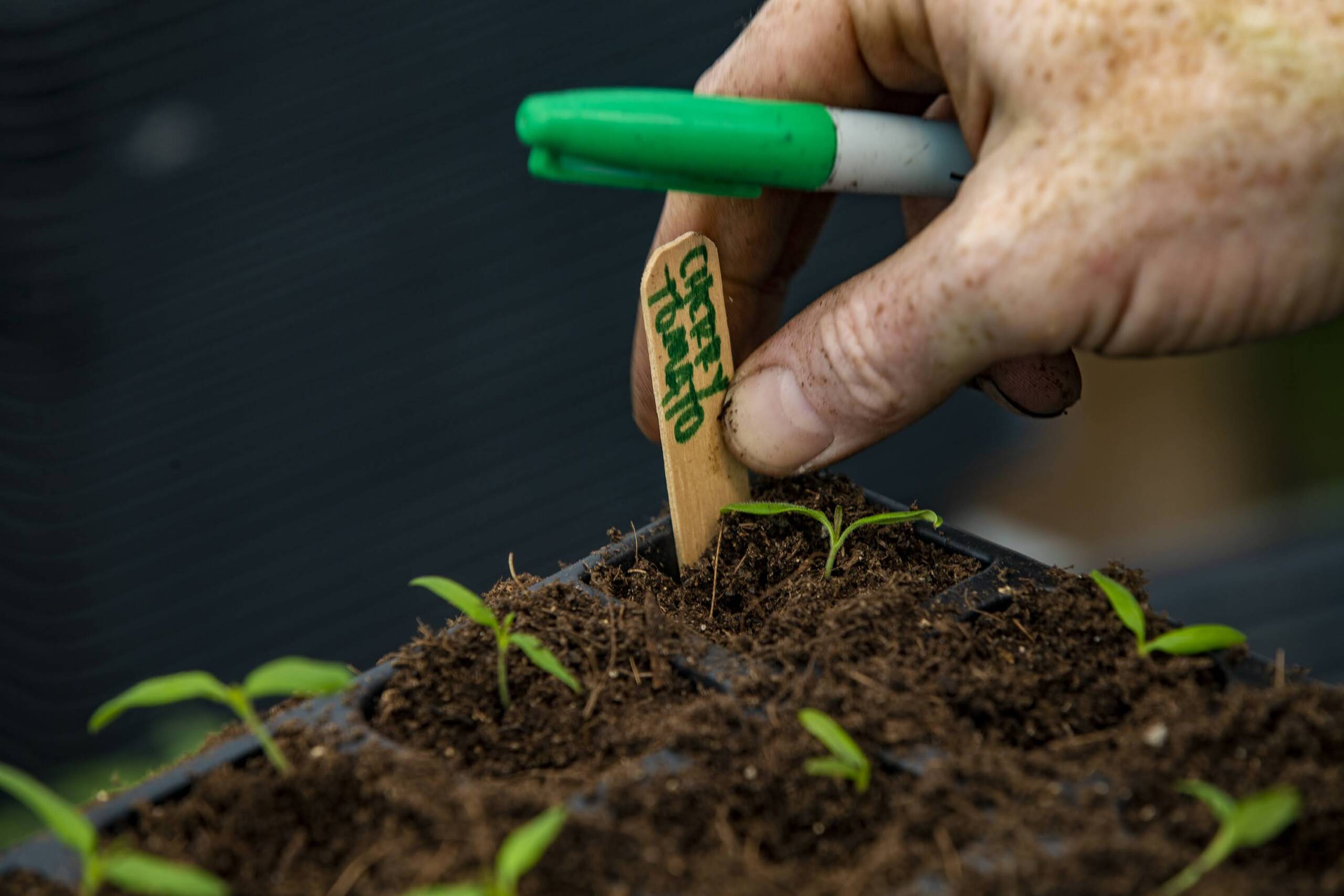 As spring weather flirts with Boston, let's talk about your garden
