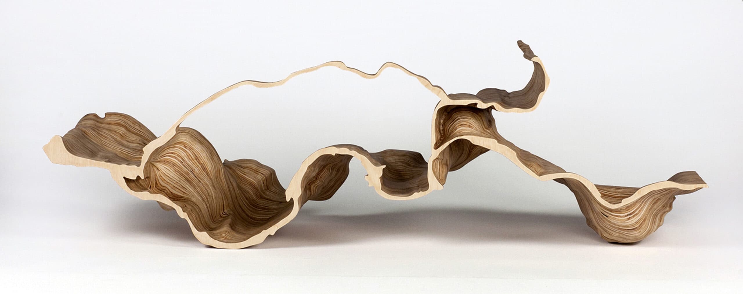 Adrien Segal, "Molalla River Meander," 2013. (Courtesy the artist)