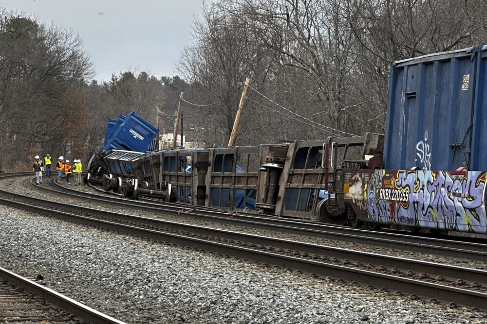 Several train cars sir derailed, with at least four completely tilted on their sides, along a stretch of tracks.