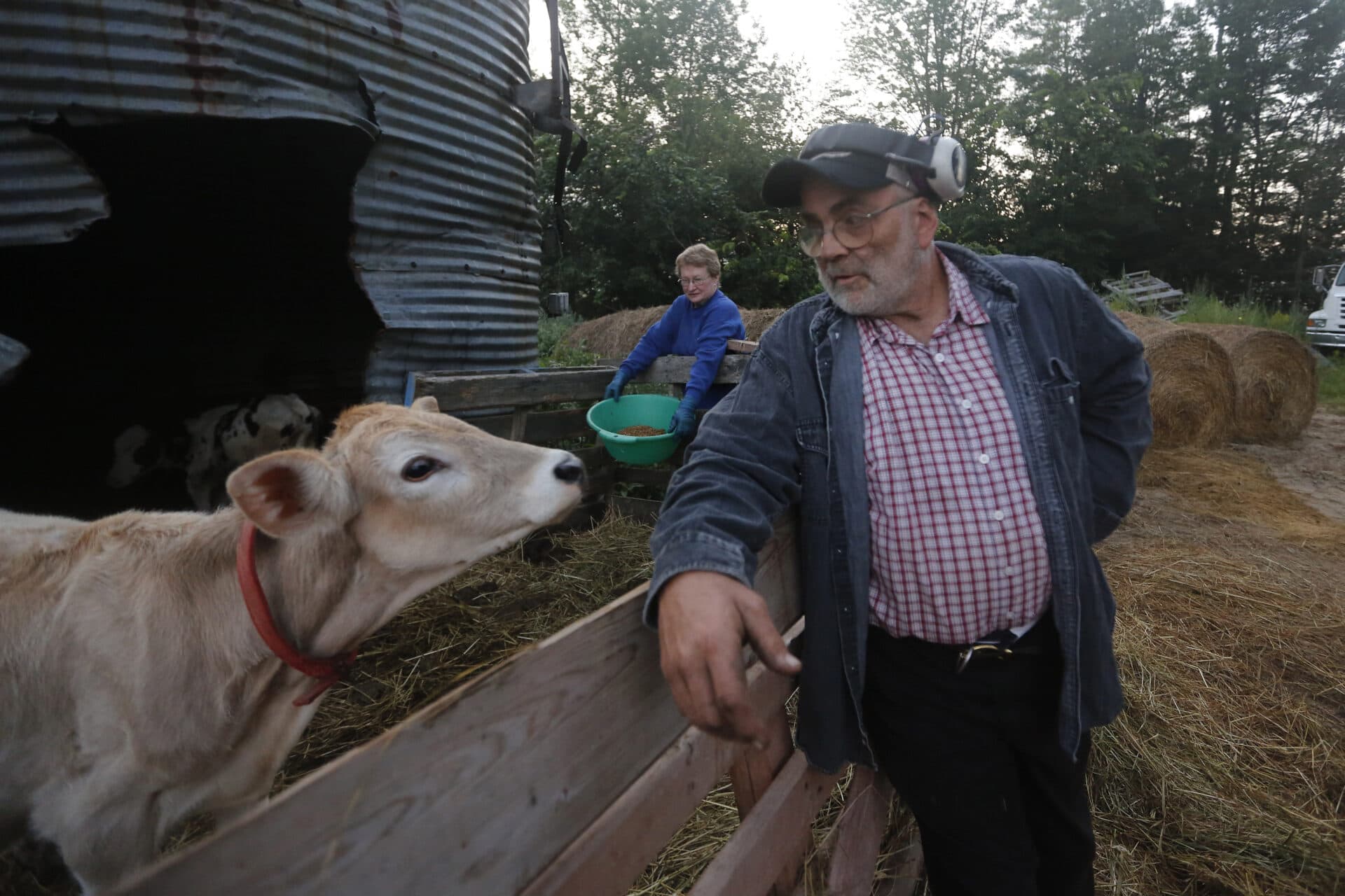 In this 2019 file photo, dairy farmers Fred and Laura Stone work on their farm in Arundel, Maine. The couple's farm has been forced to shut down after sludge spread on the land was linked to high levels of PFAS in the milk. (Robert F. Bukaty/AP)