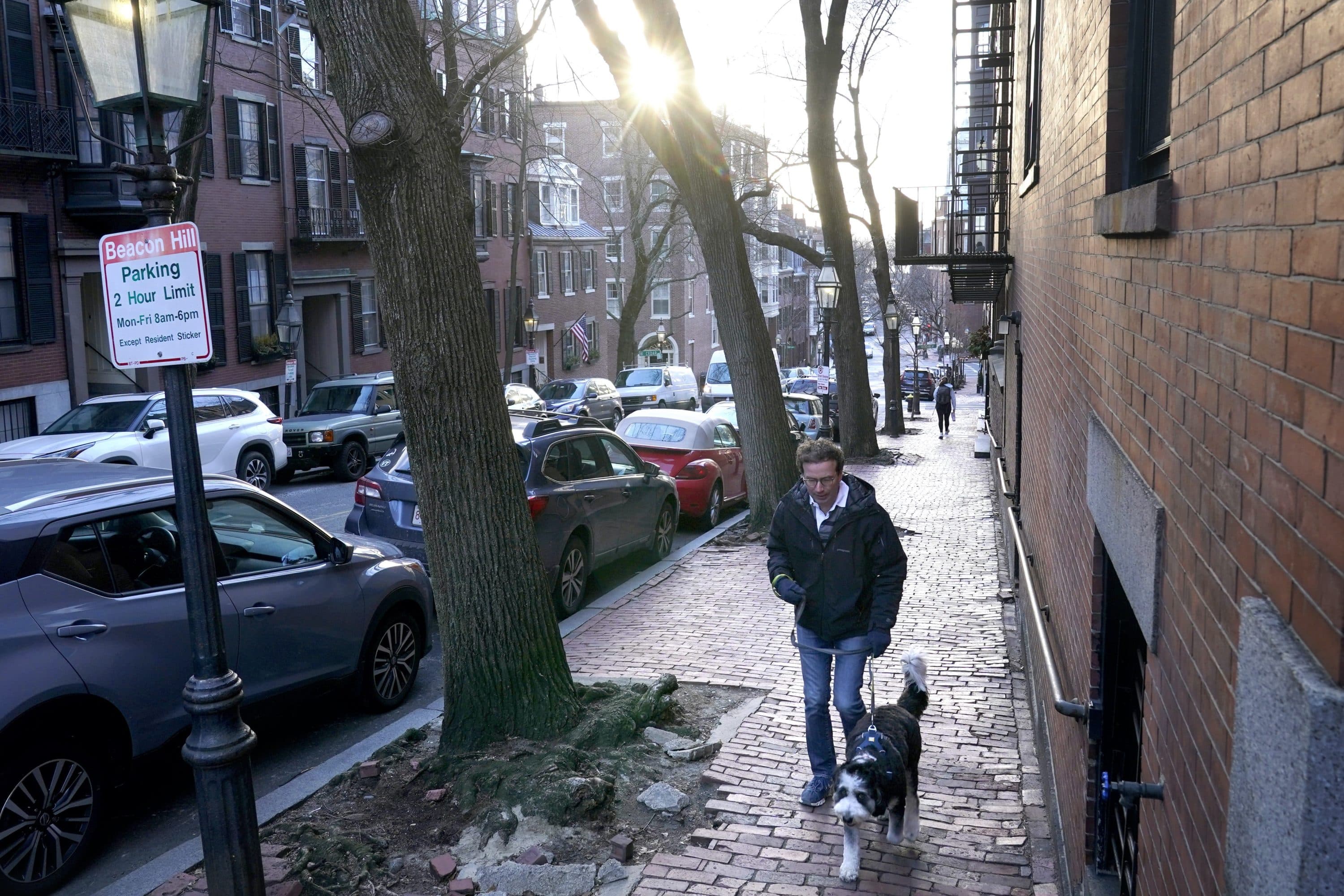 A passer-by walks their dog in a residential area near the Statehouse on Beacon Hill, Feb. 13, in Boston. (Steven Senne/AP)