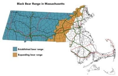 Bear territory (Mass.gov)