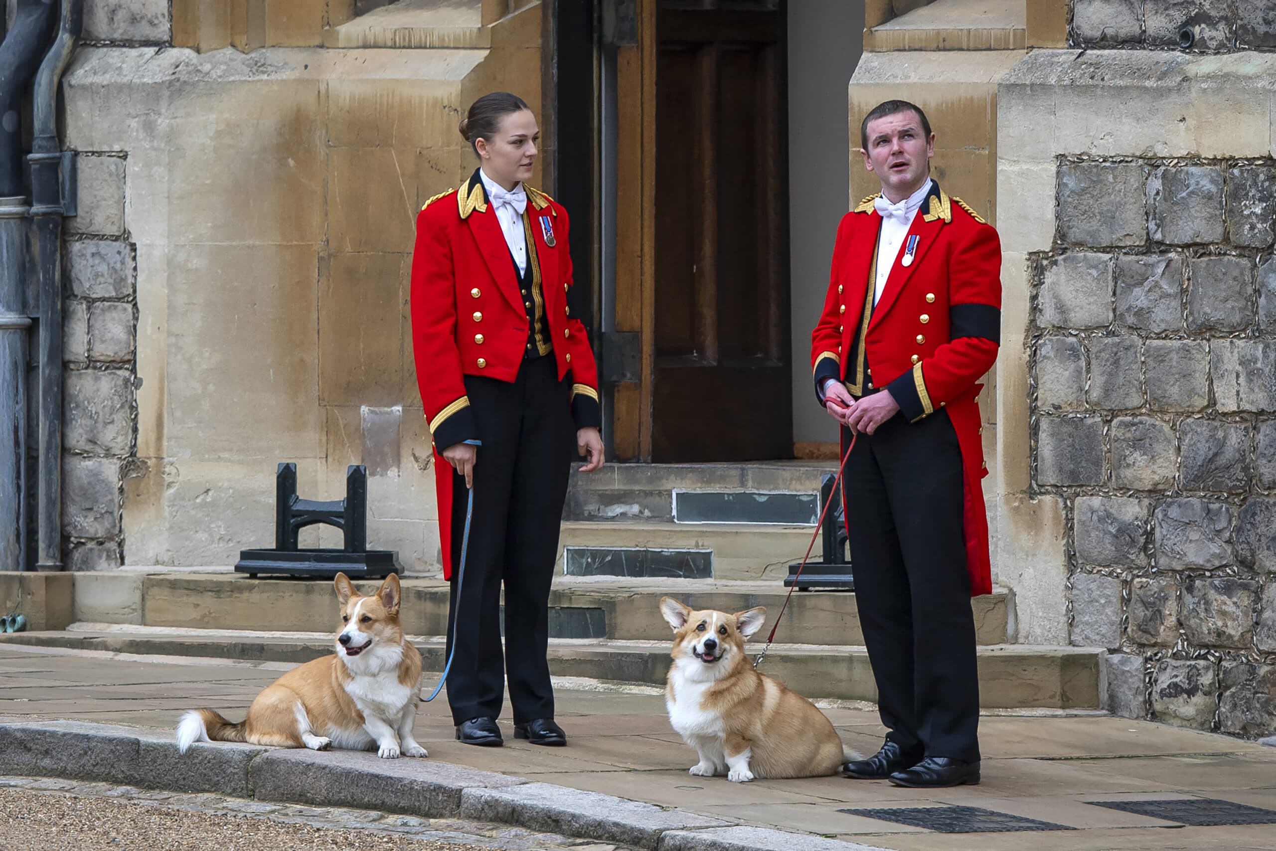 When pets outlive their people