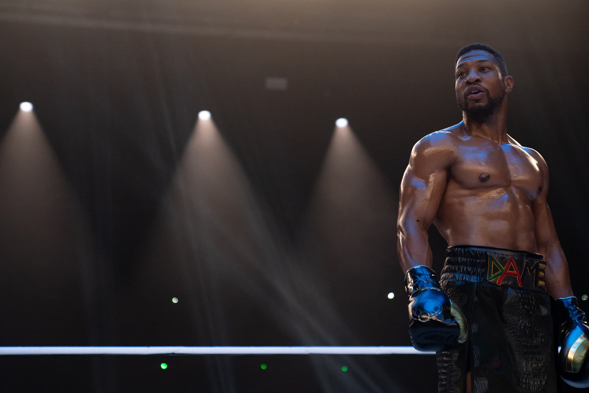 Jonathan Majors stars as Damian Anderson in 