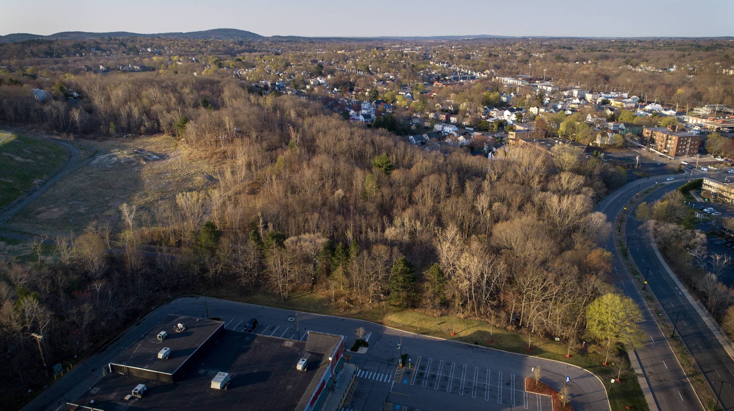 Crane Ledge Woods by American Legion Highway in Hyde Park is the site of a proposed 270 unit residential development. (Robin Lubbock/WBUR)