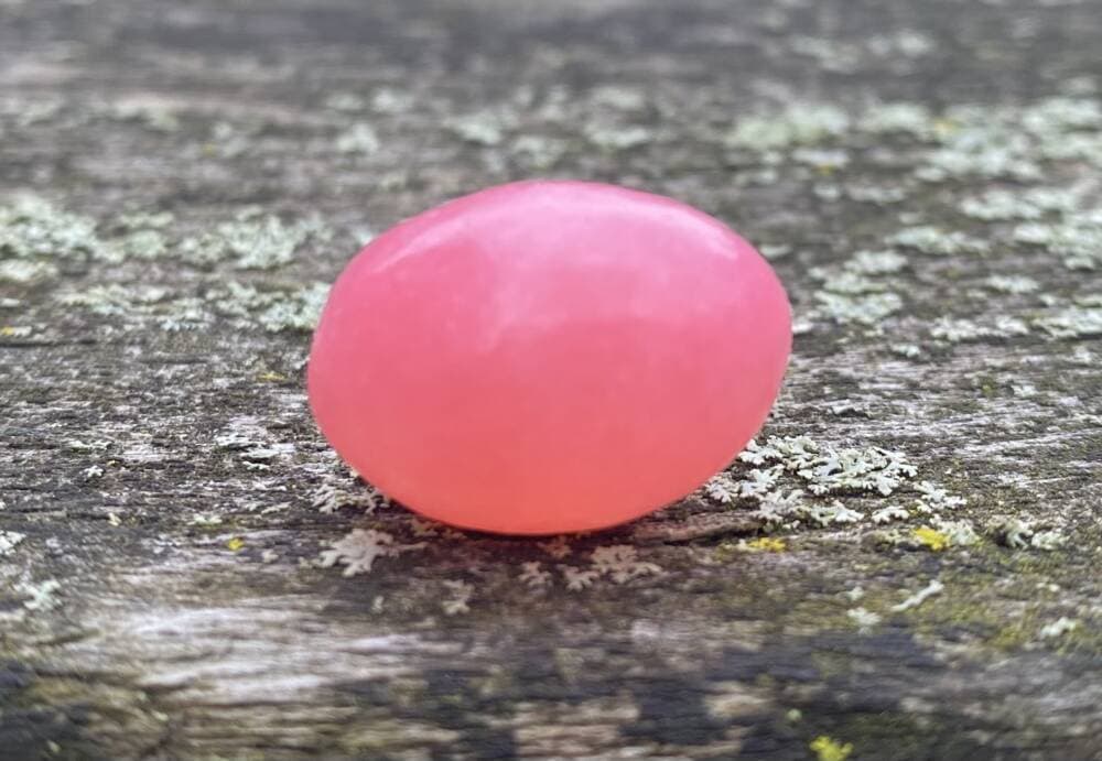The almighty jelly bean. (Andrea Shea/WBUR)
