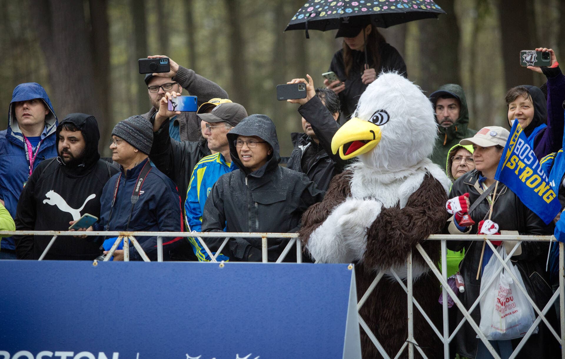 The rain does little to dampen this eagle's enjoyment of the start of the 127th Boston Marathon. (Robin Lubbock/WBUR)