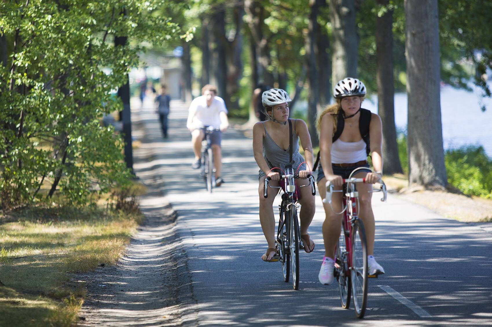 Cyclists ride their bikes on the Charles River Esplanade in Boston. (Jesse Costa/WBUR)