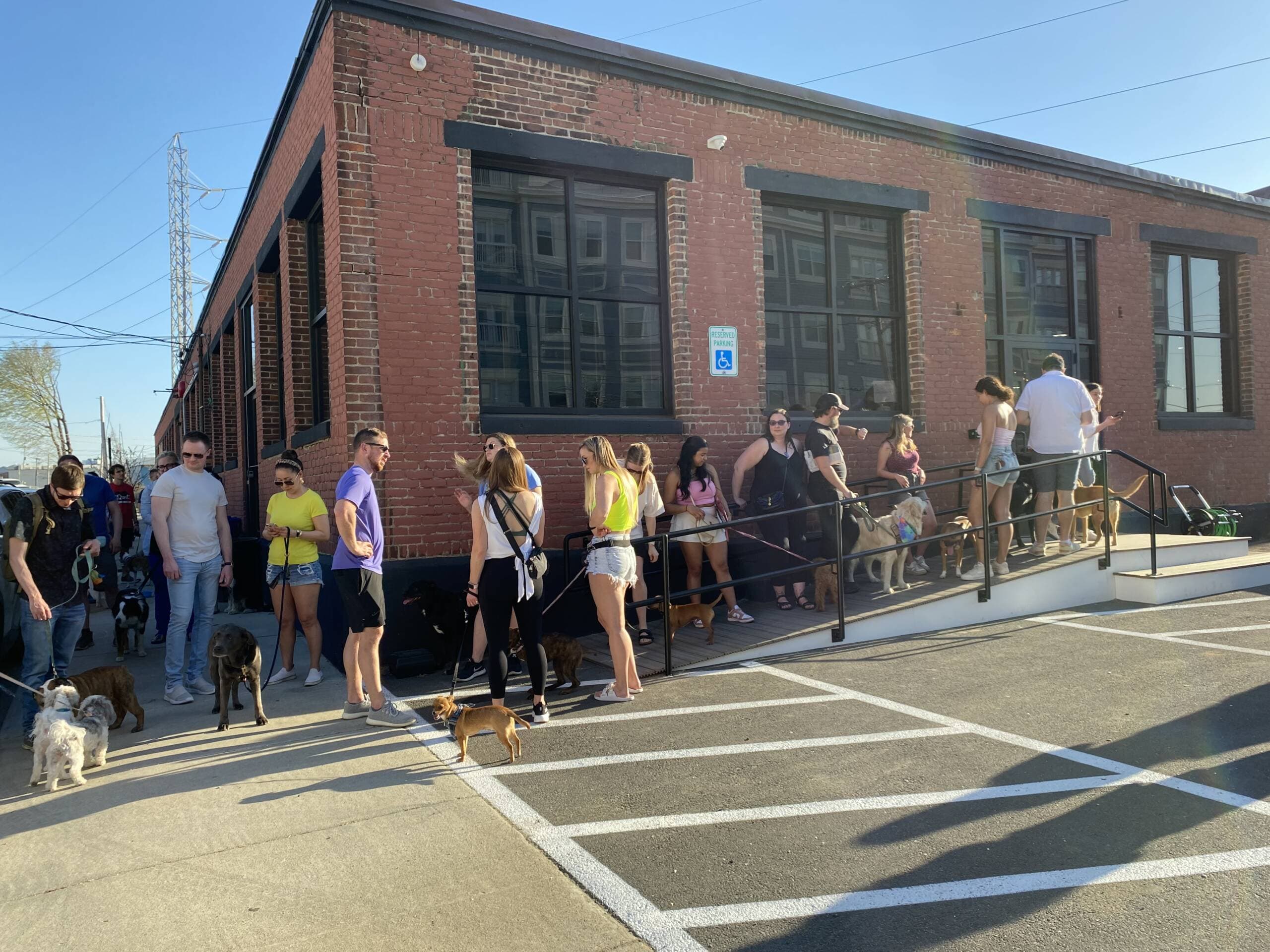 Pet parents and their pups wait in line before Park-9's grand opening on Thursday, April 13. (Andrea Shea/WBUR)