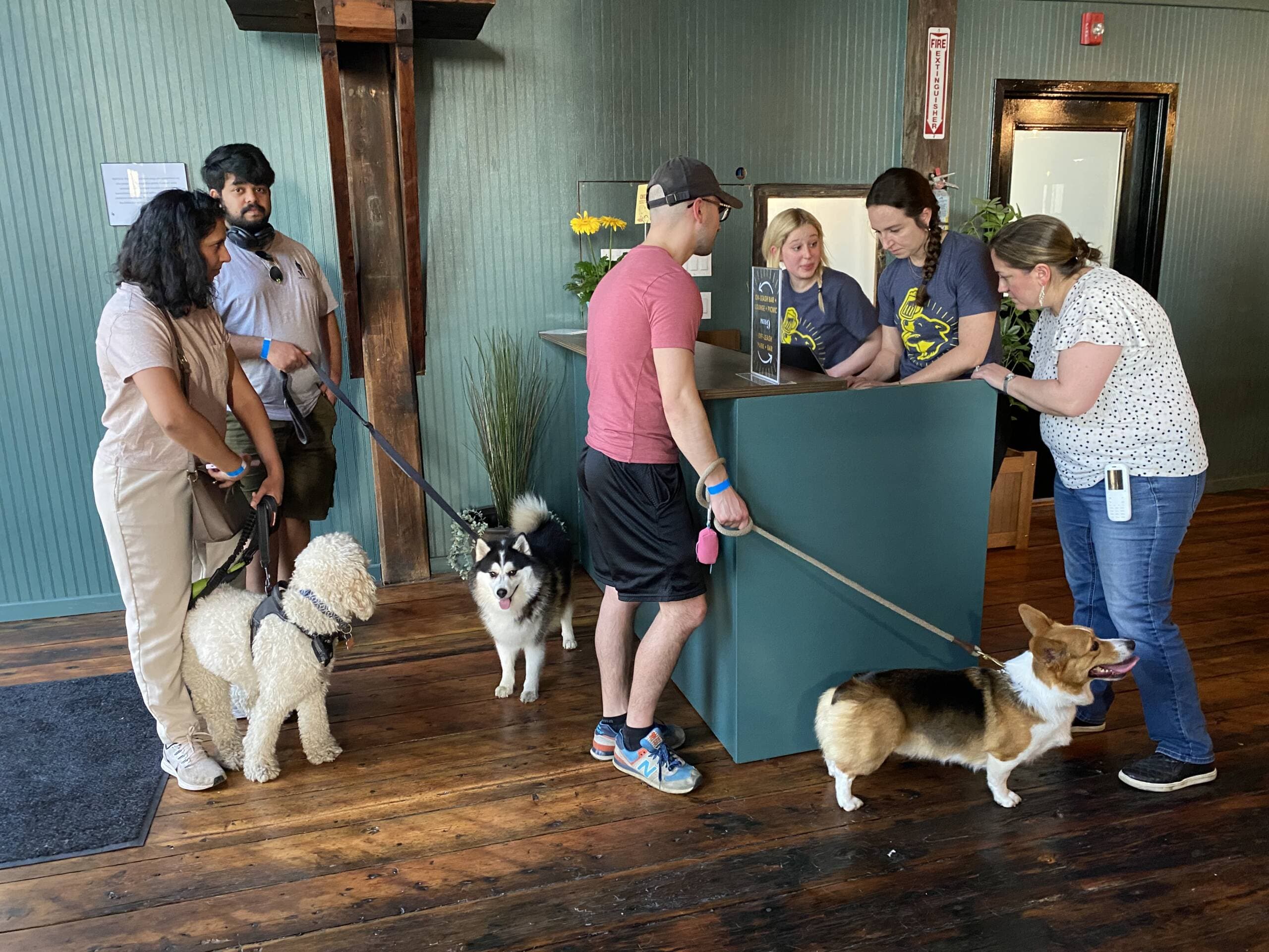 The registration desk at Park-9 Dog Bar. (Andrea Shea/WBUR)
