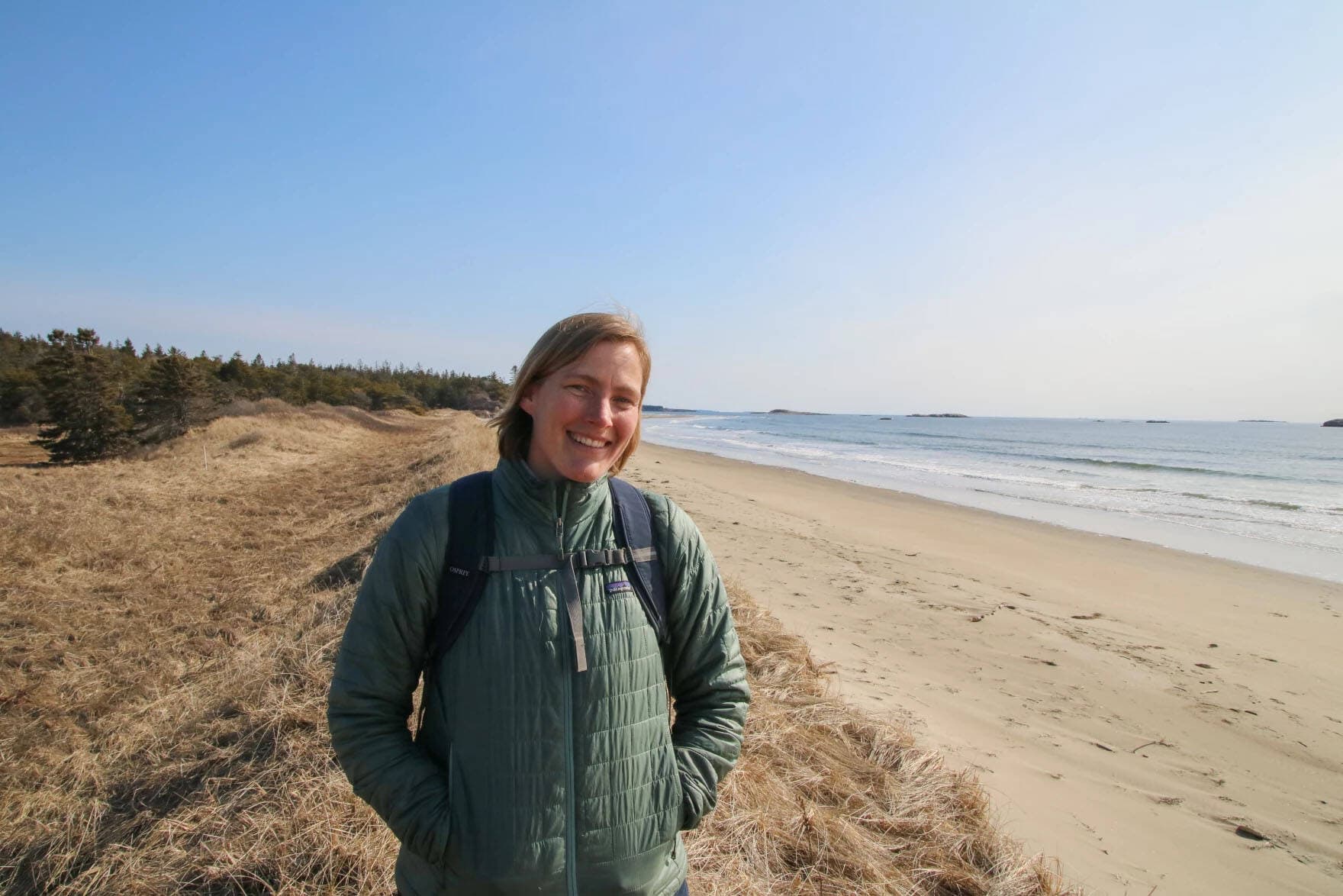 Caitlin Cleaver, director of the Bates-Morse Mountain Conservation Area, at Seawall Beach. The healthy dunes with pitch pines are increasingly rare as Maine's beaches become developed. (Murray Carpenter/Maine Public)