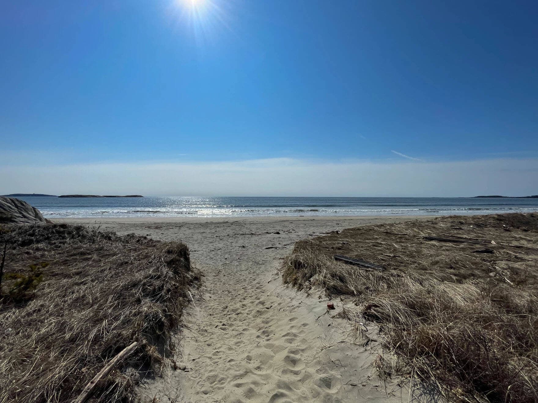 Seawall Beach, adjacent to the Bates-Morse Mountain Conservation Area, is owned by the Small Point Association, which manages it for its unspoiled character. (Murray Carpenter/Maine Public)