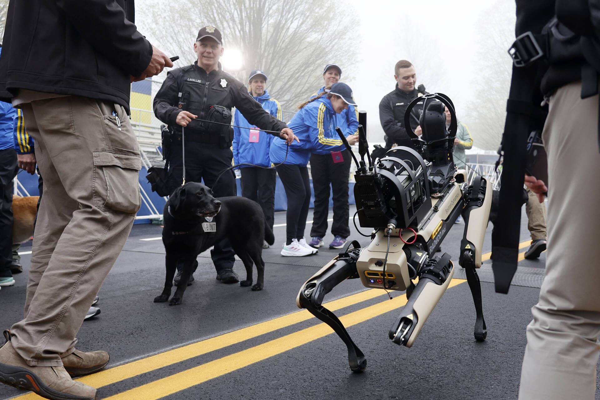 A K-9 dog looks on as a robotic dog patrols the starting line before the start of the 127th Boston Marathon in Hopkinton, Mass. (Mary Schwalm/AP)
