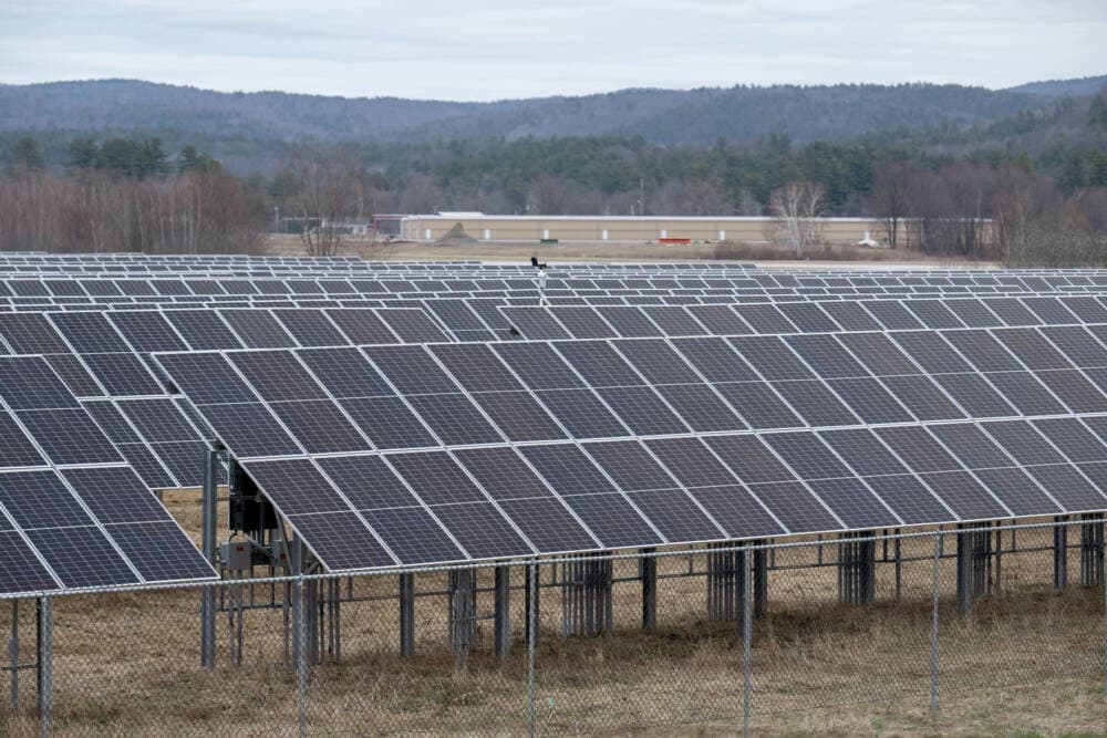 Solar panels are pictured on April 5 at the Keene wastewater treatment facility in Swanzey, N.H. (Raquel C. Zaldívar/New England News Collaborative)