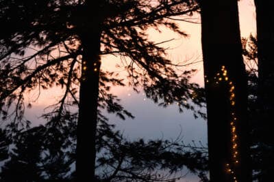 In the North, I found ‘little light’ but fierce friendships