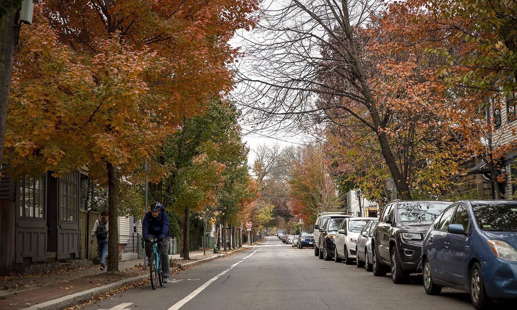 Fall colors on Brookline Street in Cambridge, Mass. (Robin Lubbock/WBUR)
