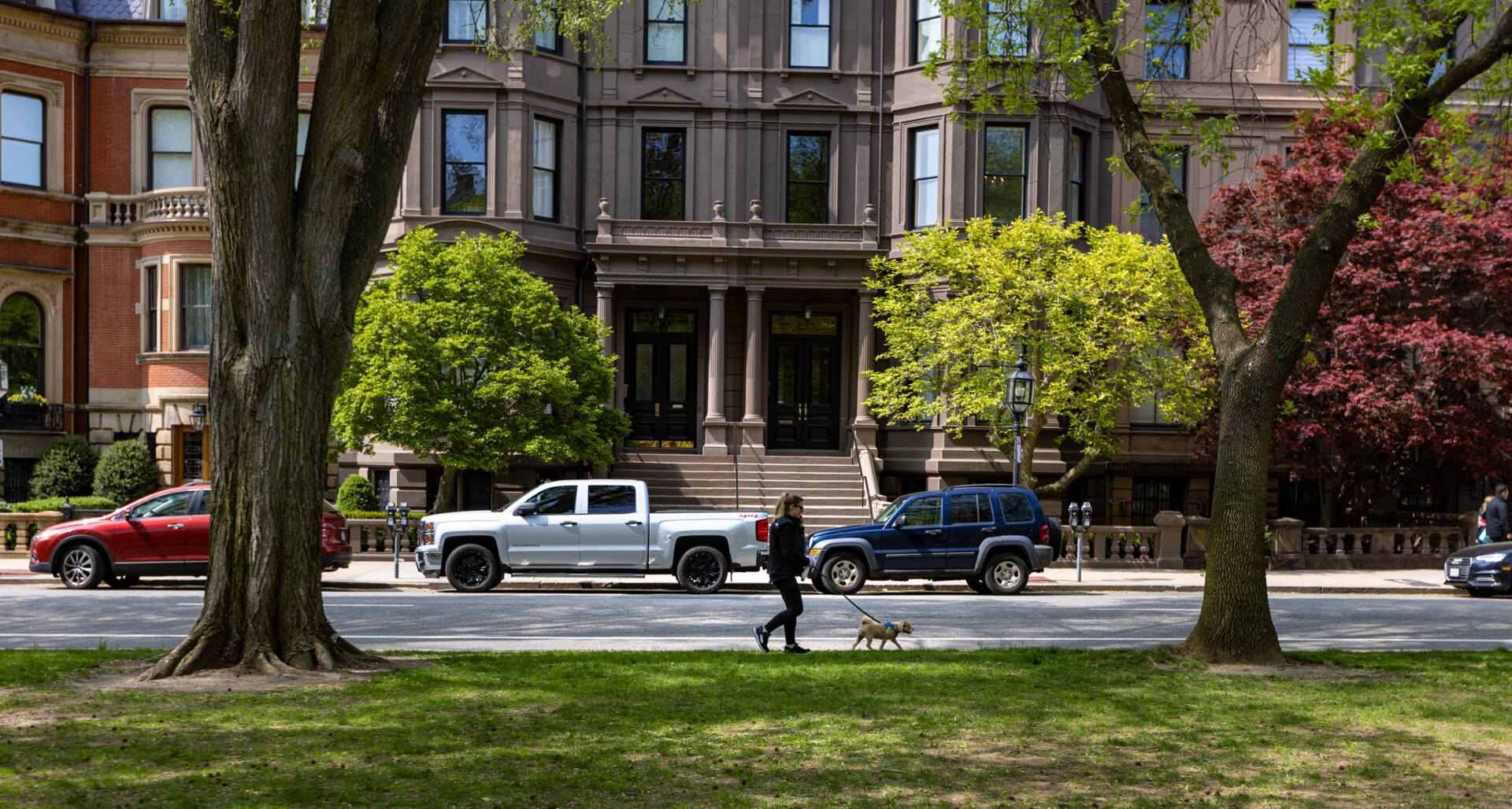 A woman walks her dog along the Commoweath Avenue Mall in Back Bay. (Jesse Costa/WBUR)