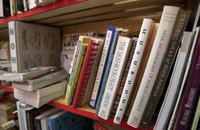 Jump start your summer reading with these 12 books