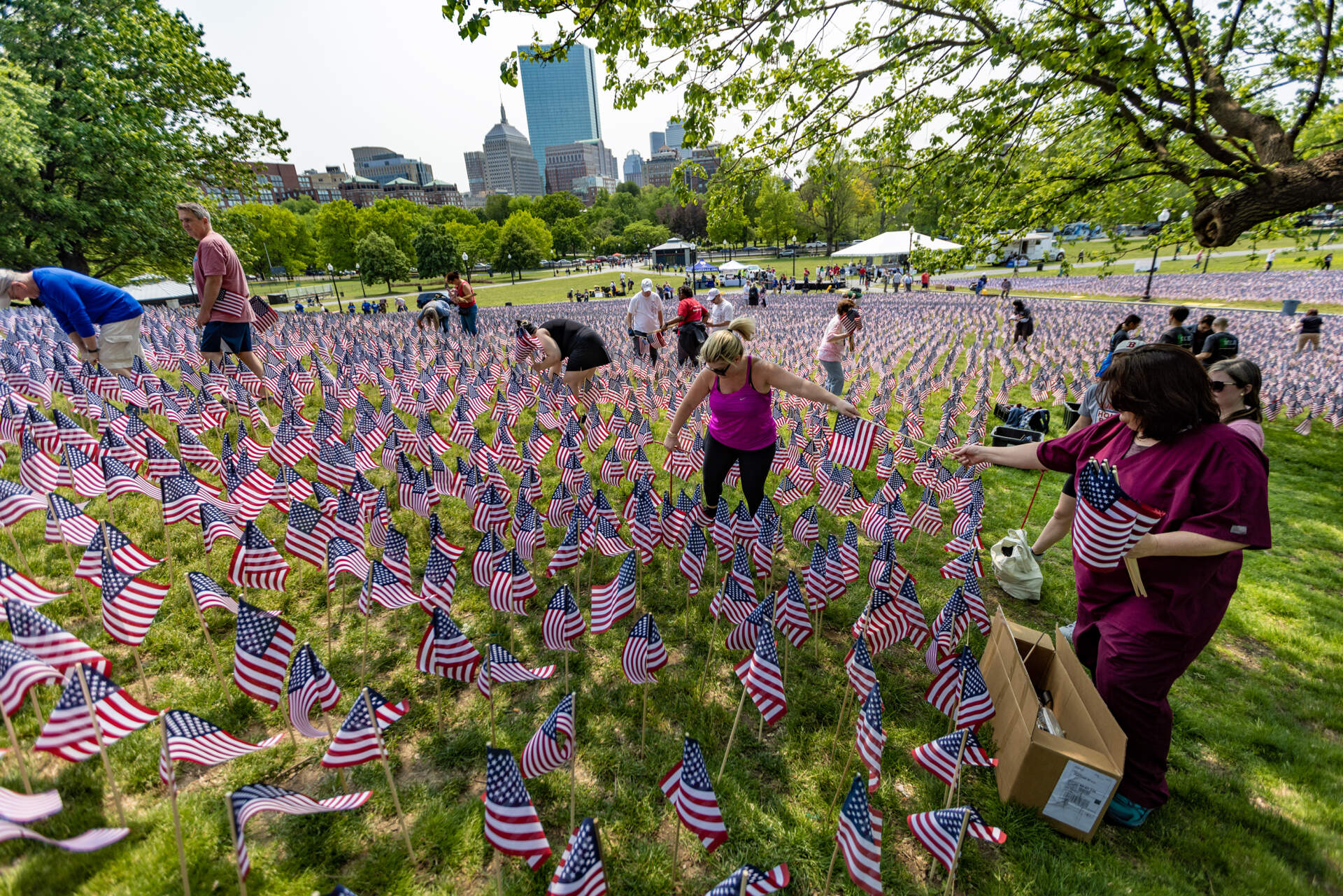 Volunteers plant American flags into the ground of the Boston Common for the upcoming Memorial Day weekend. (Jesse Costa/WBUR)