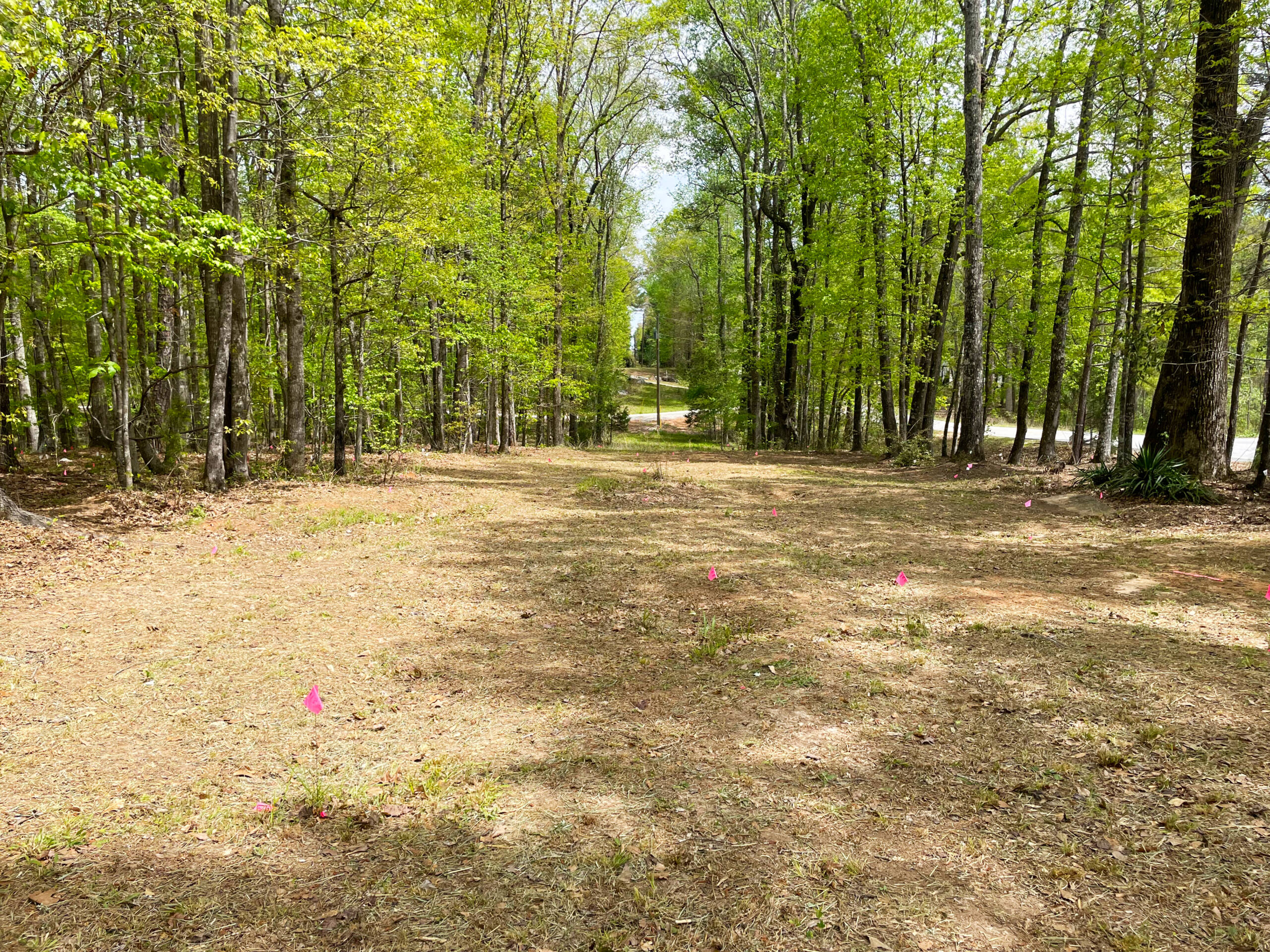 Pierce Chapel African Cemetery, Midland, Georgia. (Hamilton Hood Foundation)