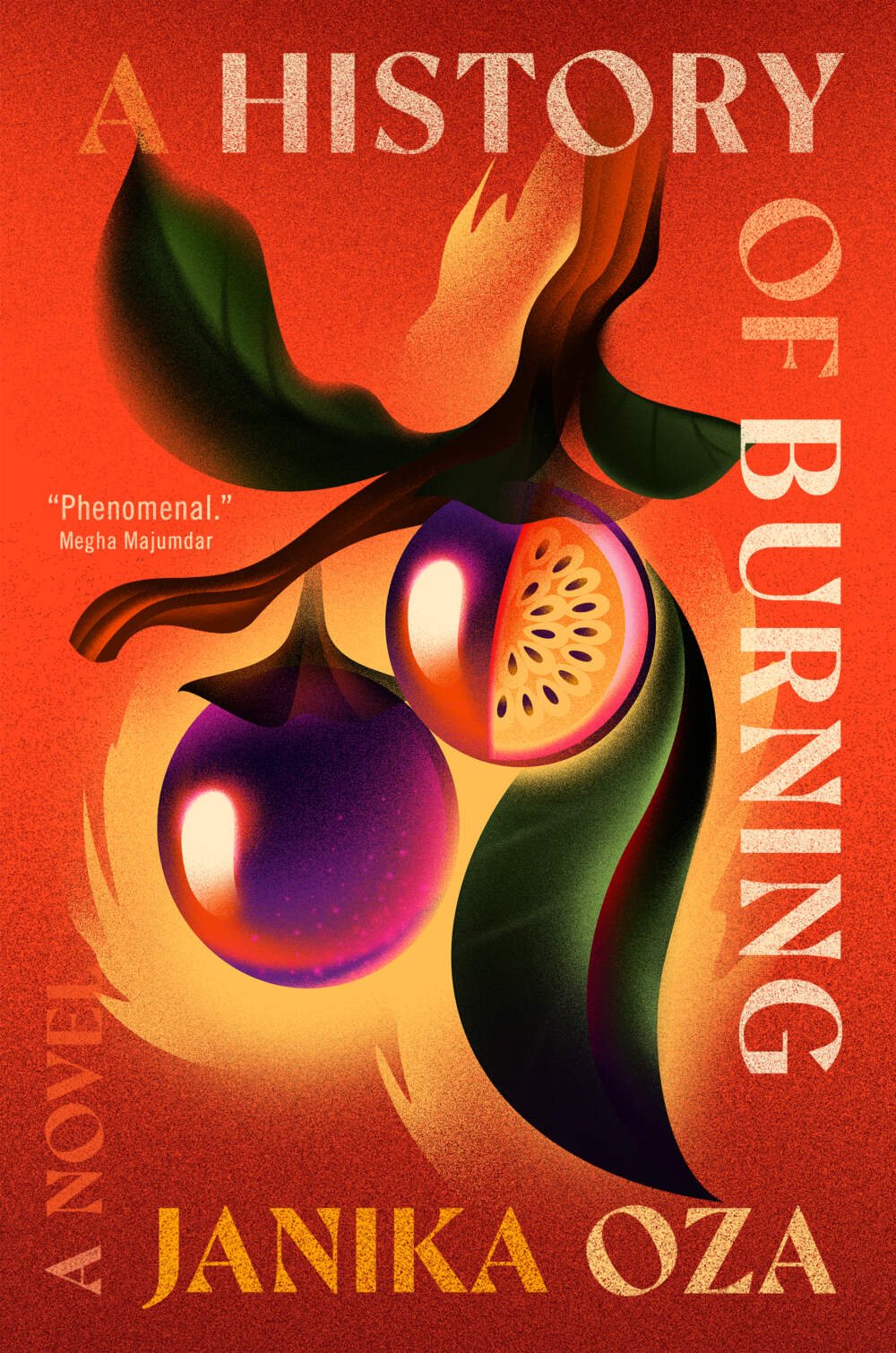 The cover of "A History of Burning" by Janika Oza. (Courtesy)