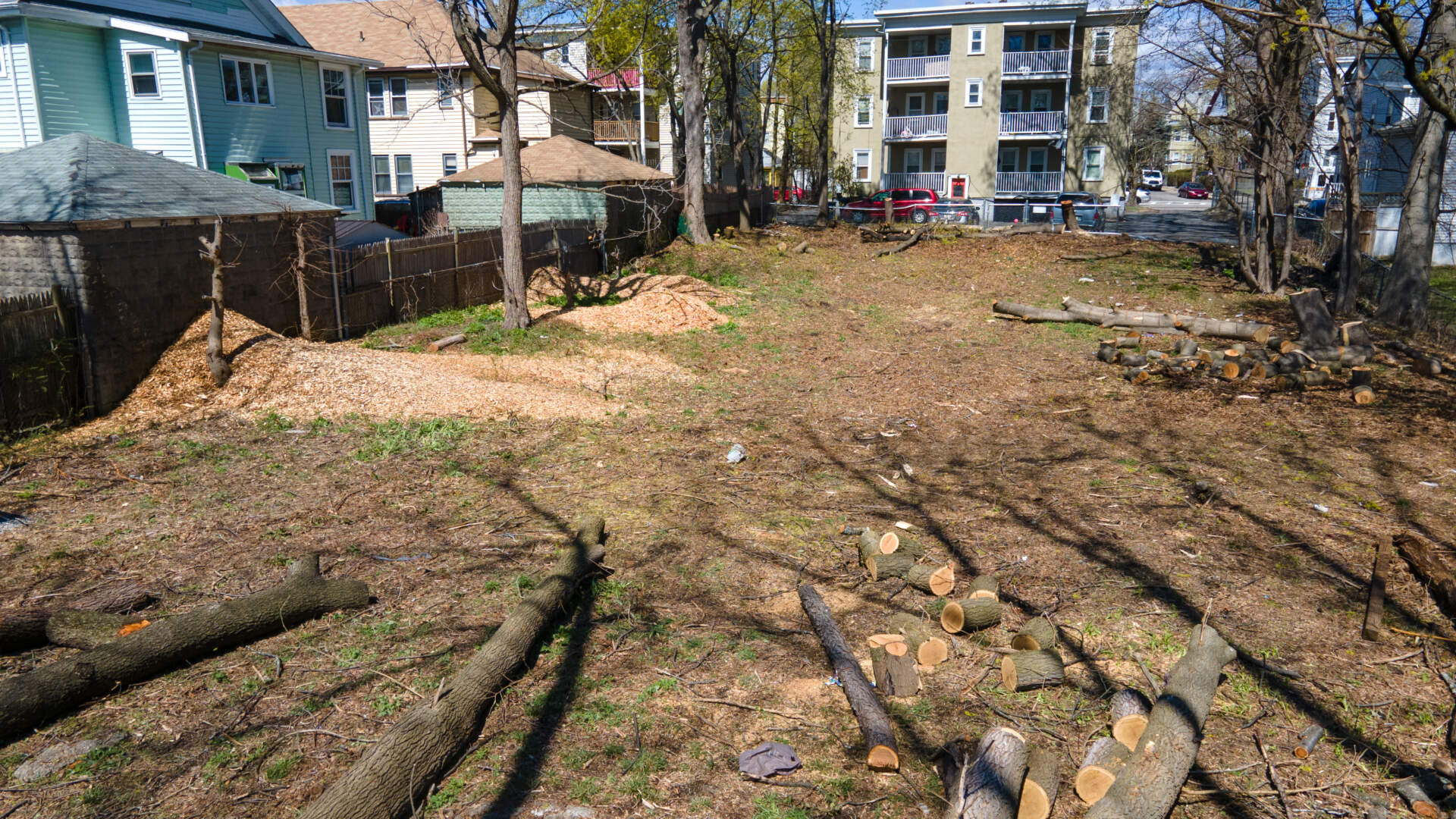 The vacant lot in Mattapan that became the Edgewater Food Forest. Courtesy Hope Kelley, Boston Food Forest Coalition