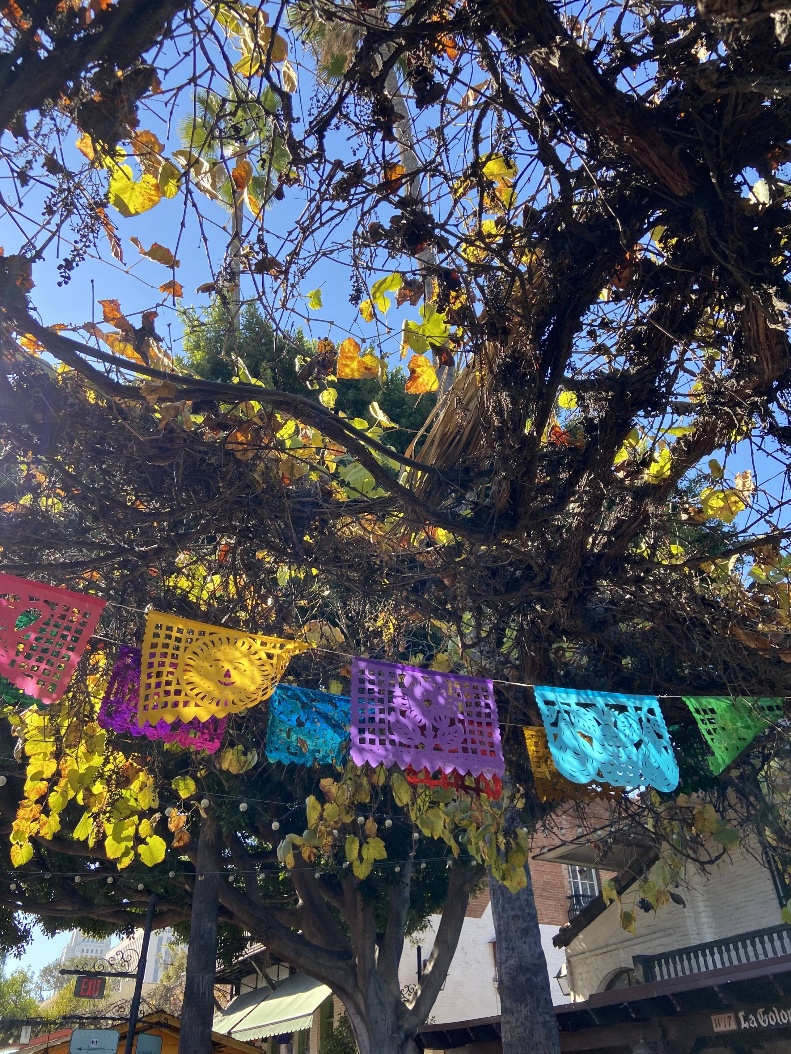 Olvera Street is lined with papel picado. (Kathy Gunst/Here & Now)
