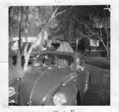 My first love was a Bug