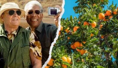 Oranges and Bucket Lists: What language can teach us about our world