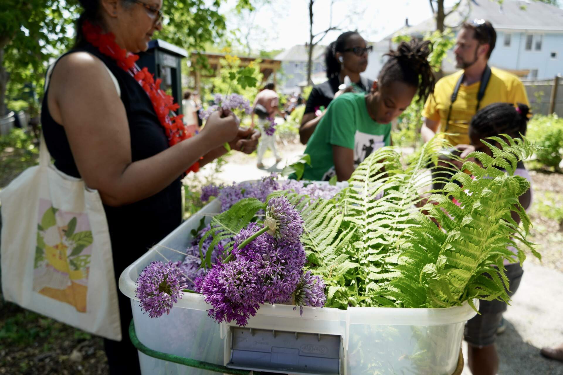 Lilacs for flower crowns at the opening of the Edgewater Food Forest in May 2023. Courtesy Hope Kelley, Boston Food Forest Coalition