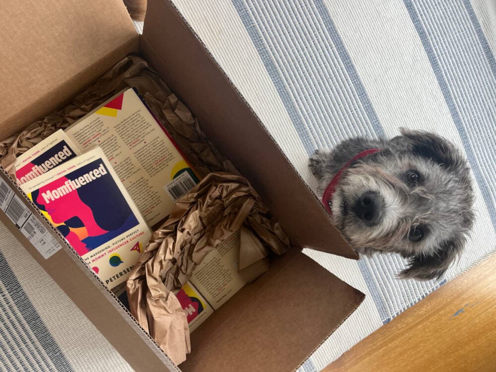 Harry the puppy, attending the unboxing of the author's book, in 2023. (Courtesy Sara Peterson)