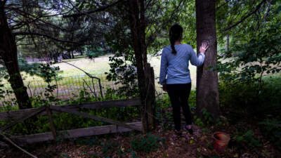 Revelations about domestic violence secrecy and frontline COVID workers' pay struggles unfold in WBUR's National Headliner-winning coverage