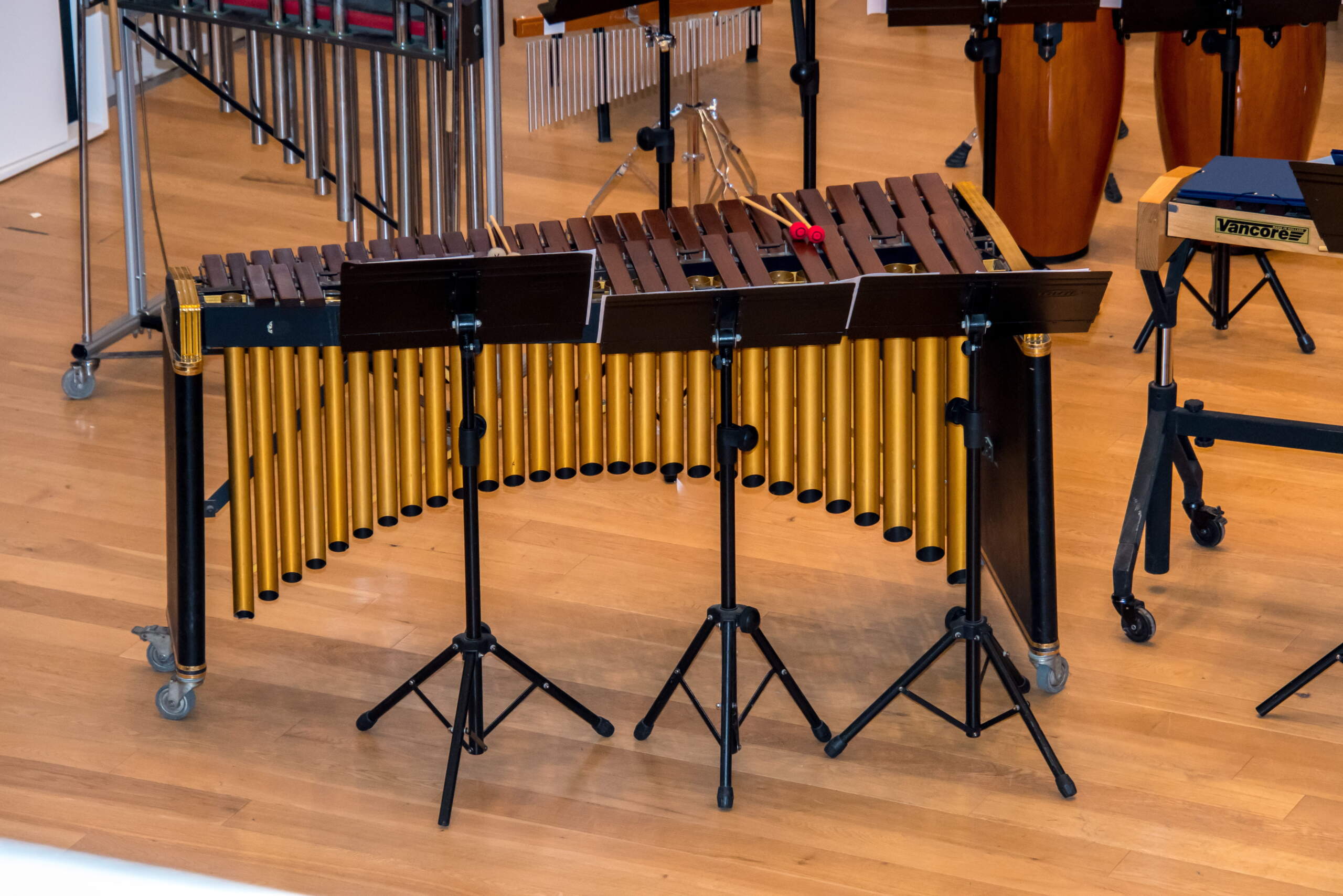 The marimba has become popular in many places around the world, including Africa, Southeast Asia, Europe, North America, South America and Central America. (courtesy of pxfuel)