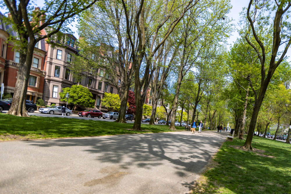 The Commonwealth Avenue Mall in Back Bay, where a recent study found residents have the longest life expectancy in the city. (Jesse Costa/WBUR)