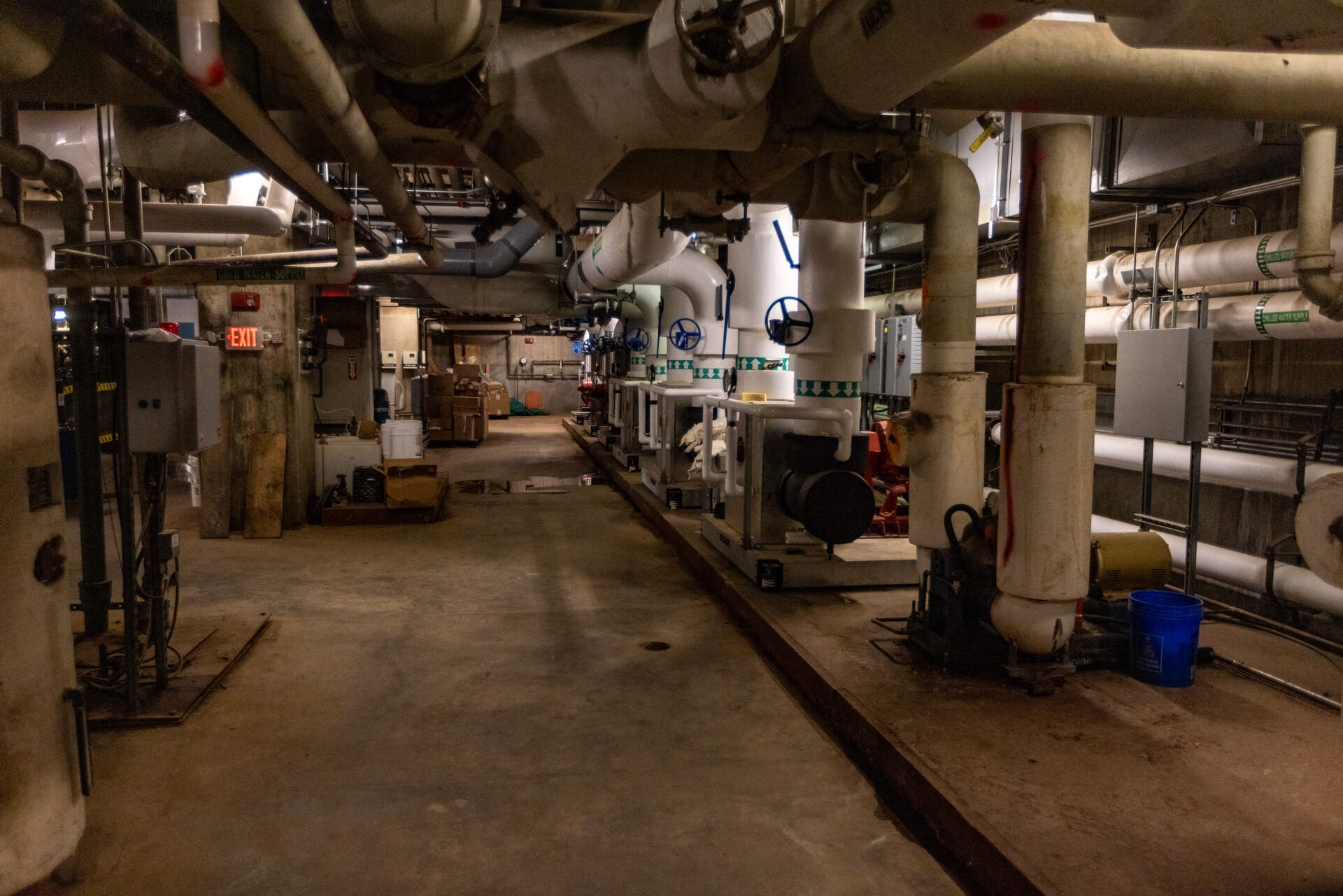 Pipes carrying chilled water in the basement of Boston City Hall. (Jesse Costa/WBUR)