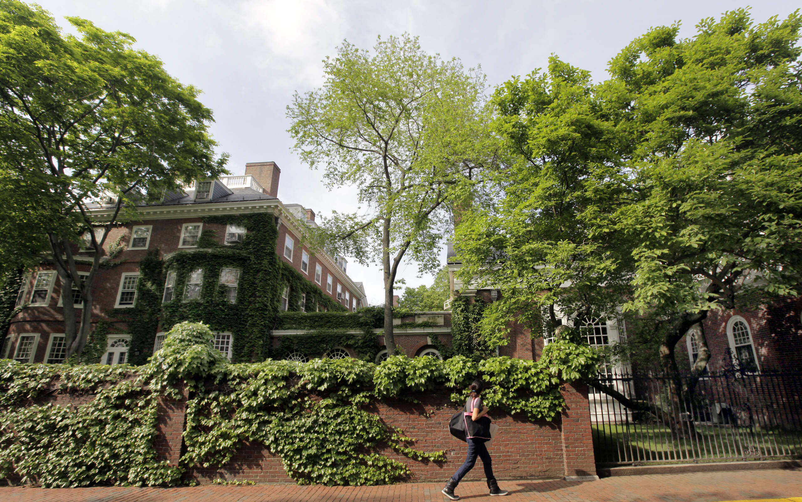 A woman walks by buildings on the campus of Harvard University in Cambridge, Mass. (Elise Amendola/AP Photo)