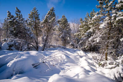 Rebroadcast: Woniya Thibeault survived extreme cold and isolation to become a winner