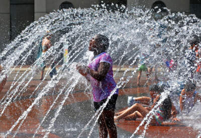 Boston's summer heat is an issue of racial equity. 'Greening' our city is one solution