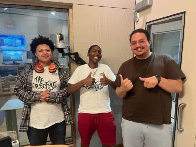 'Peace through the power of the people': Young Bostonians combat gun violence in their communities