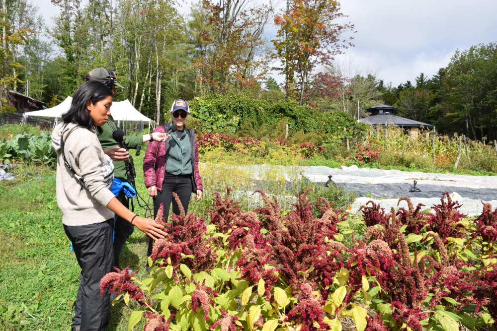 Ria giving a tour of Soul Fire Farm ICourtesy Megan Cattel)