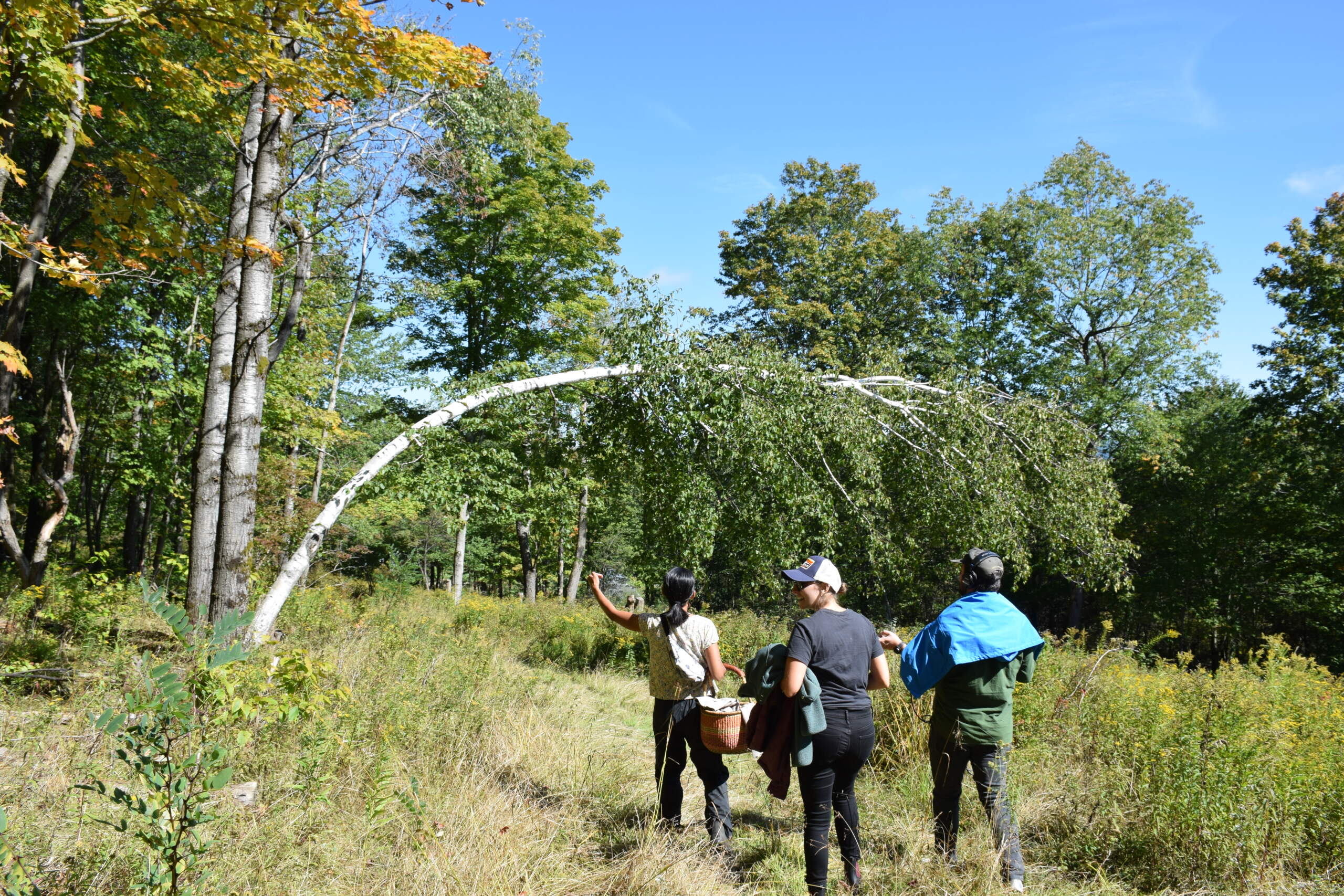 Walking back to Soul Fire Farm from the woods (Courtesy Megan Cattel)