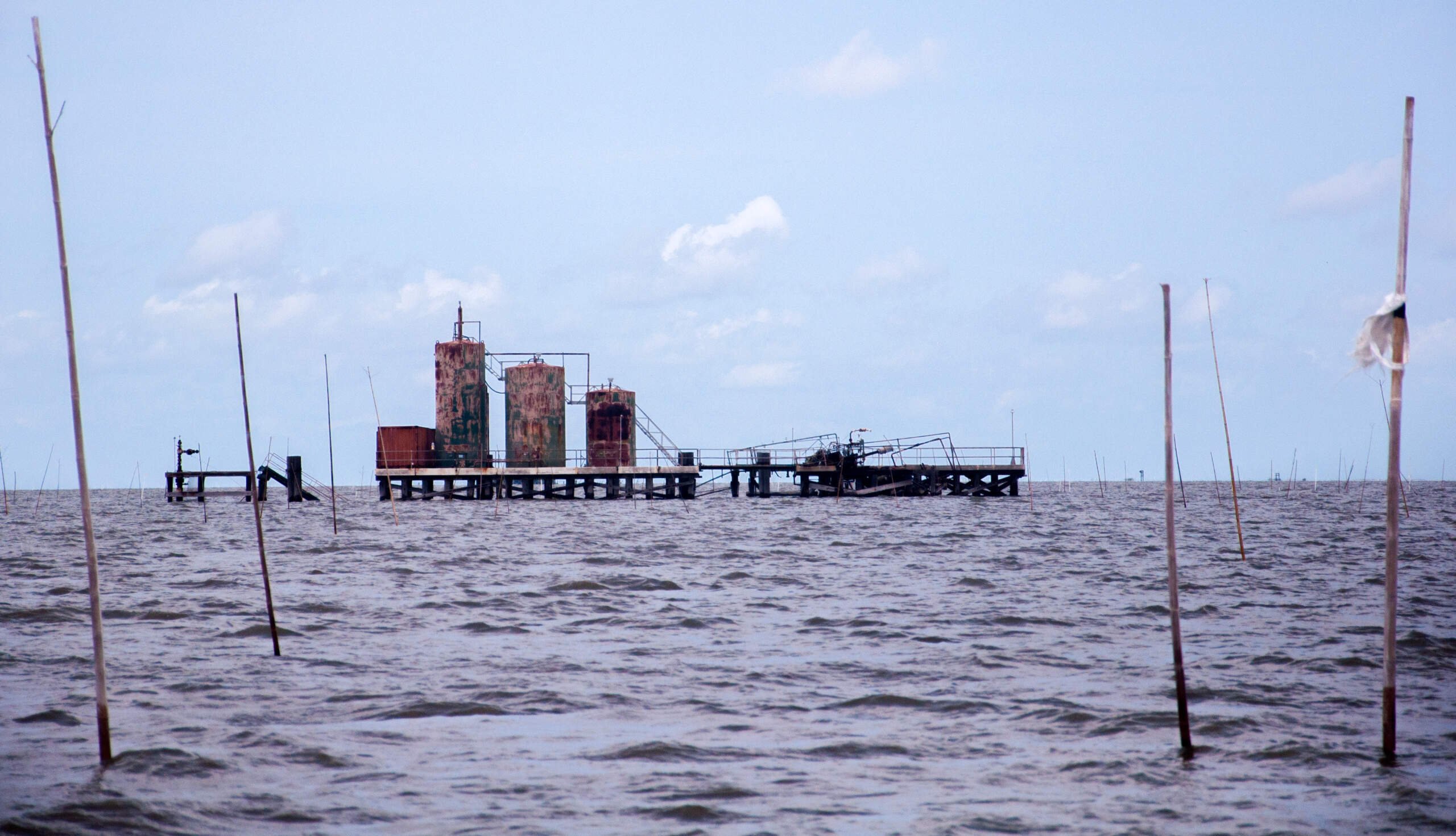 Bamboo poles mark oyster beds near an abandoned platform once used for oil and gas production in Plaquemines Parish, Louisiana. (Chris Bentley/Here & Now)