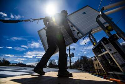 Mass. can expand solar without chopping so much forest, report says