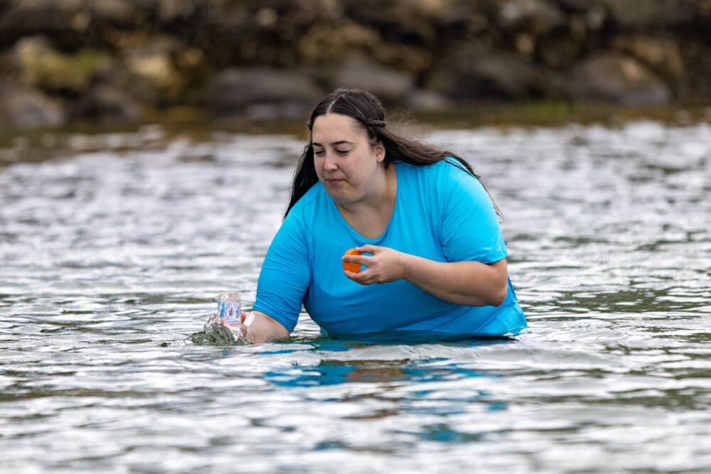 Gloucester health inspector Brie Gray takes a sample of the water from the creek at Good Harbor Beach for testing in July 2023. (Jesse Costa/WBUR)