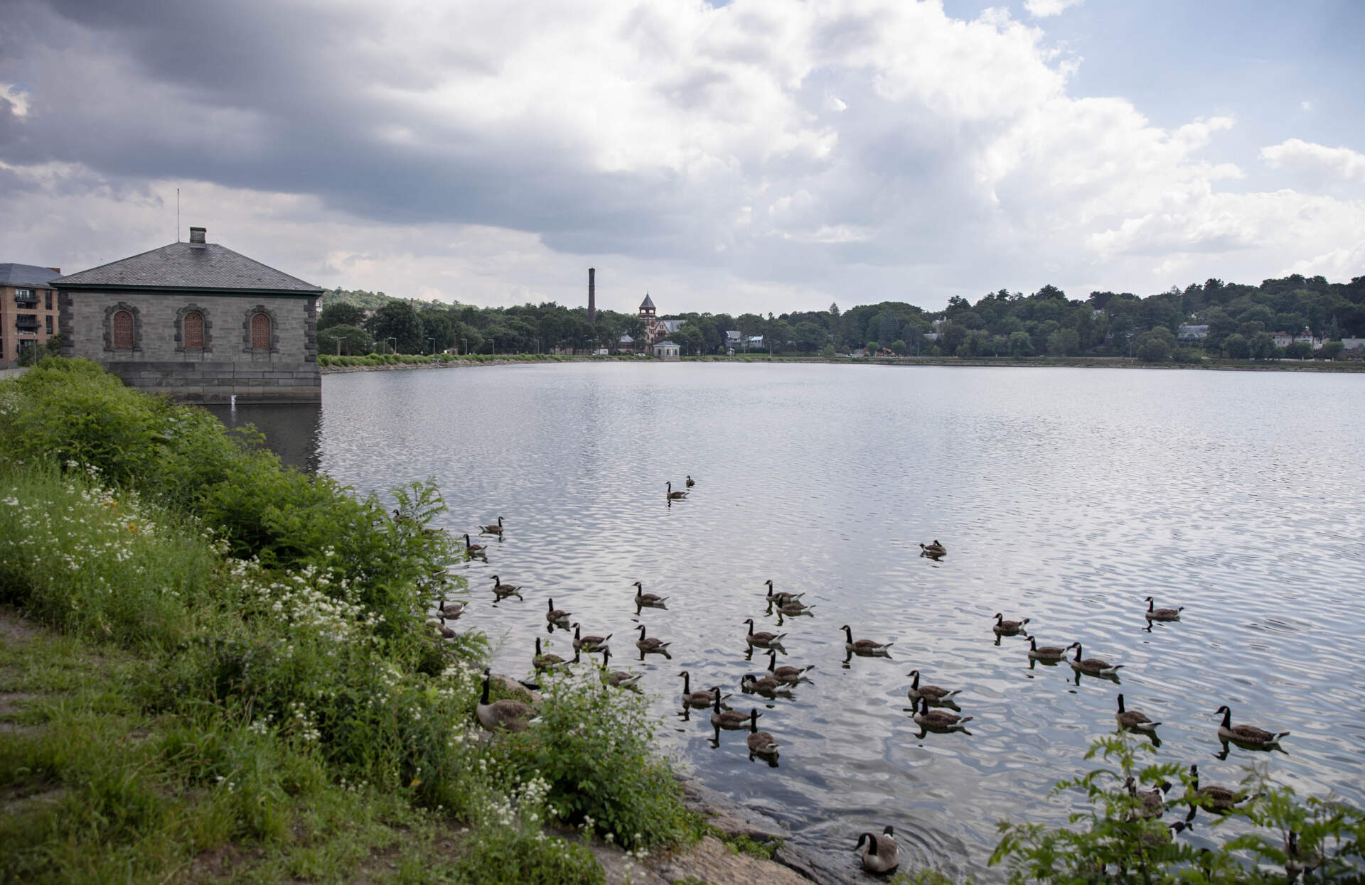 Chestnut Hill Reservoir in Brighton. (Robin Lubbock/WBUR)