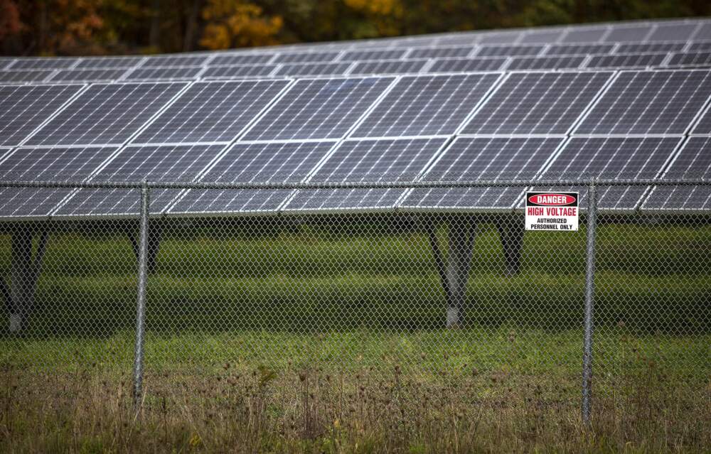 A ground-mounted solar array in Grafton, Mass. (Robin Lubbock/WBUR)