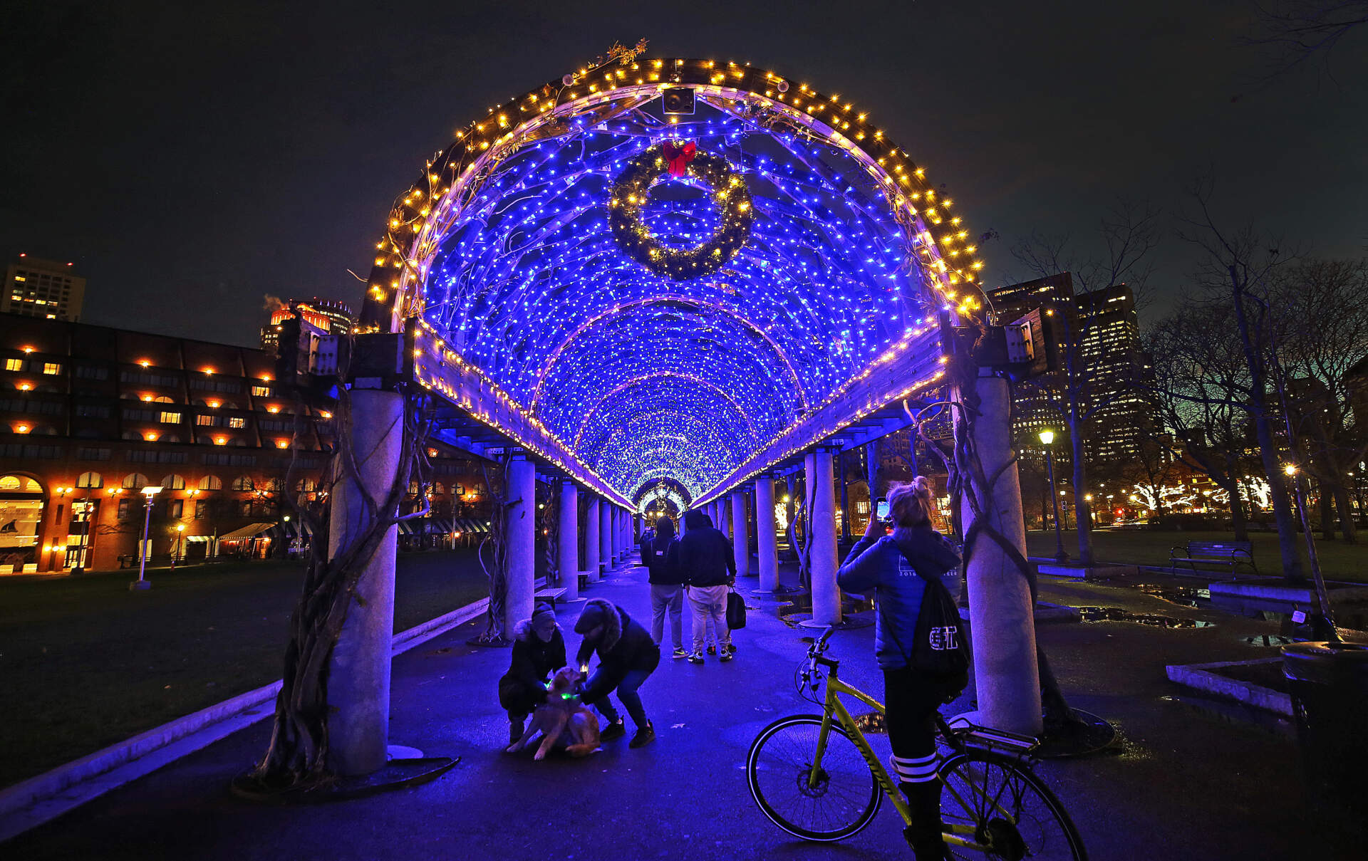 The trellis in Christopher Columbus Park is lit and decorated for the holiday season. (Jim Davis/The Boston Globe via Getty Images)