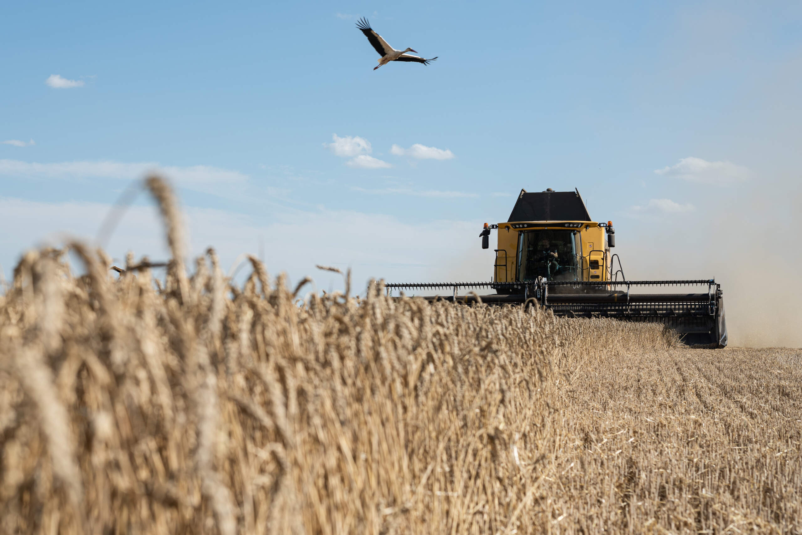 Ukraine is one of the world's largest producers of wheat, corn and vegetable-oil. (Alexey Furman/Getty Images)