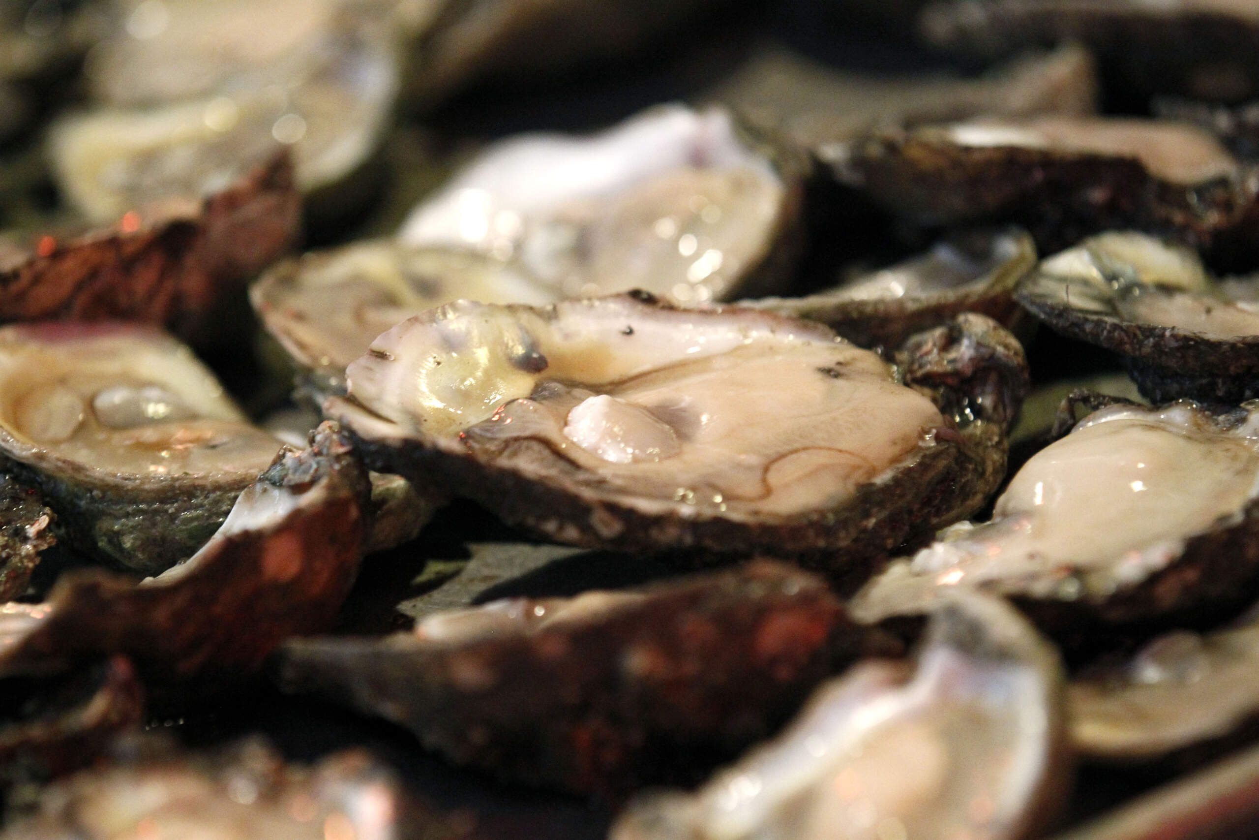 Raw oysters are served to customers at the oyster bar inside the Acme Oyster House in New Orleans, May 4, 2011. (Gerald Herbert/AP)